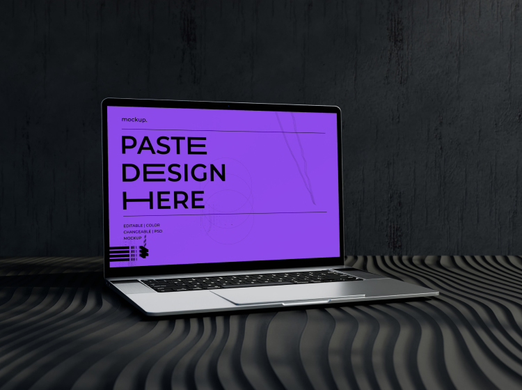 Website Designer in Laxmi Nagar